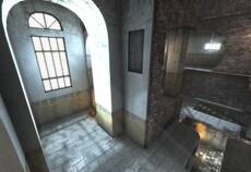 asylum